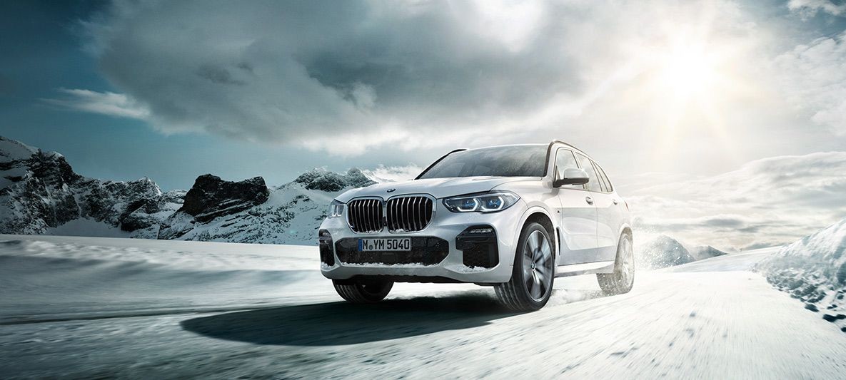 photo_in_container28802